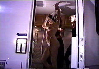 Three crazy young girls stripping